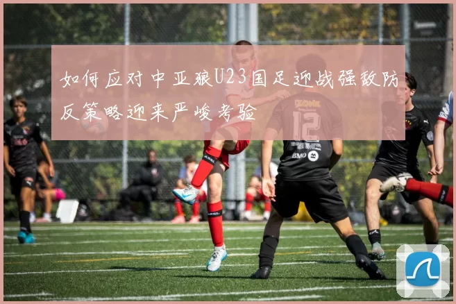 如何应对中亚狼U23国足迎战强敌防反策略迎来严峻考验